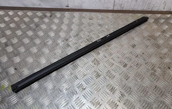 Chrysler Pacifica Front door glass trim molding 68188737