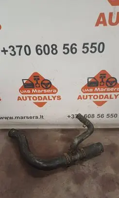 Volkswagen New Beetle Engine coolant pipe/hose 1C0121096