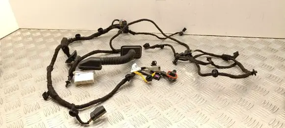 Volvo EX30 Front door wiring loom P8894544205