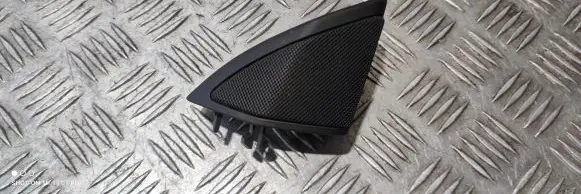 Front door high frequency speaker
