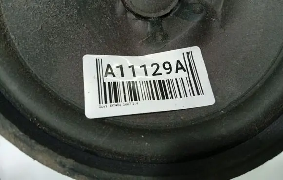 Opel Antara Front door speaker 96673591