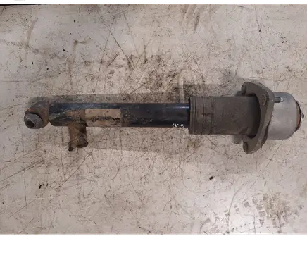 BMW X5 E70 Rear shock absorber/damper