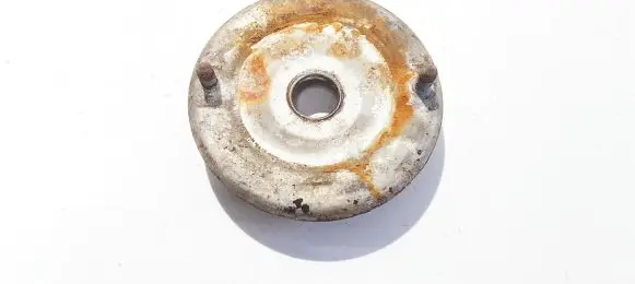 Coil spring mount