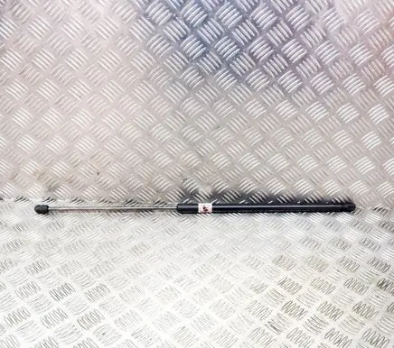 Ford C-MAX II Tailgate/trunk strut/damper AM51R406A10AC