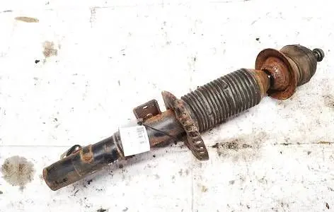 Skoda Fabia Mk2 (5J) Front shock absorber/damper 383330egt