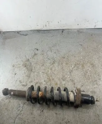 Dodge Journey Rear shock absorber with coil spring 