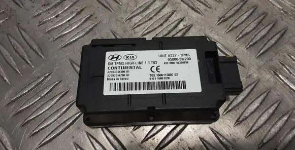 Hyundai Santa Fe Other control units/modules 958002W200