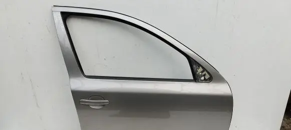 Skoda Octavia Mk2 (1Z) Front door