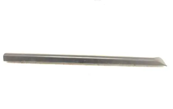 Rear door trim (molding)