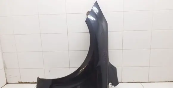 Ford Focus Fender
