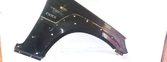 Hyundai Terracan Fender