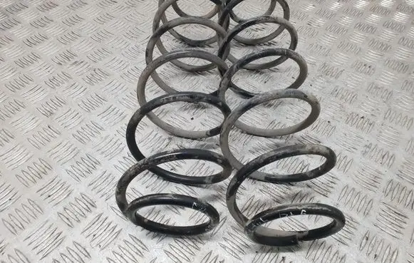 Renault Laguna II Rear coil spring