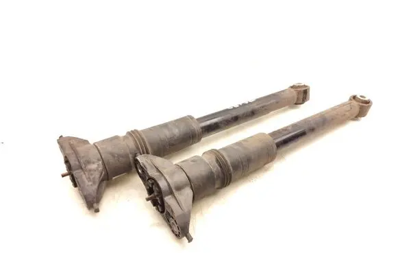 Peugeot 2008 II Rear shock absorber/damper 9842566580