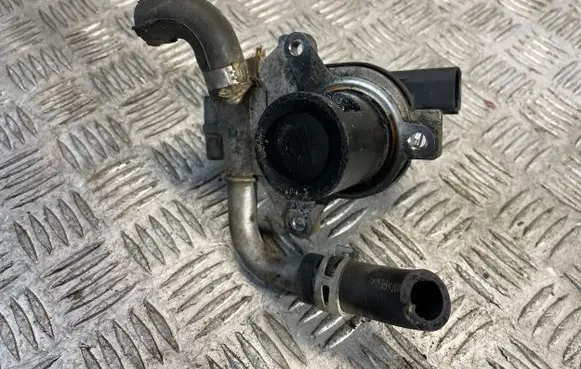 Nissan Juke I F15 EGR valve 70036814