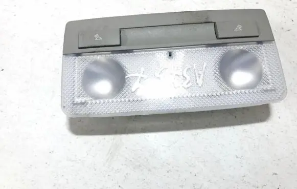 Opel Insignia A Front seat light 316627975 167352