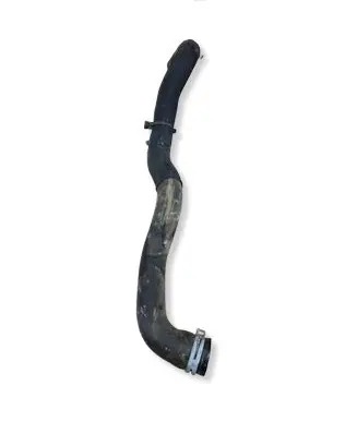 Renault Clio V Engine coolant pipe/hose 215030389R