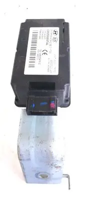 Hyundai Santa Fe Other control units/modules 958002W200