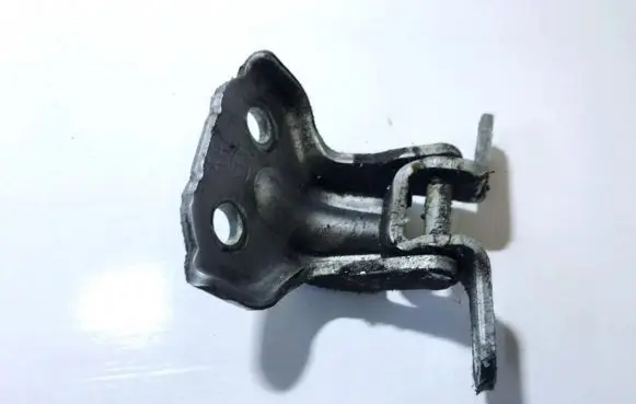 Rear door lower hinge
