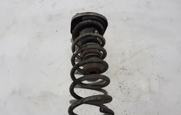 Volvo S80 Rear coil spring 31202529
