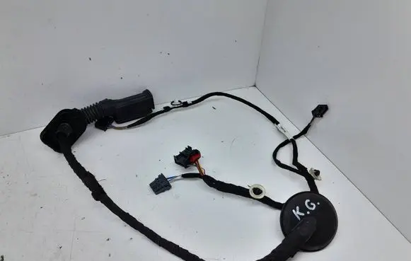 Cupra Formentor Rear door wiring loom 5FA971161F 19509236
