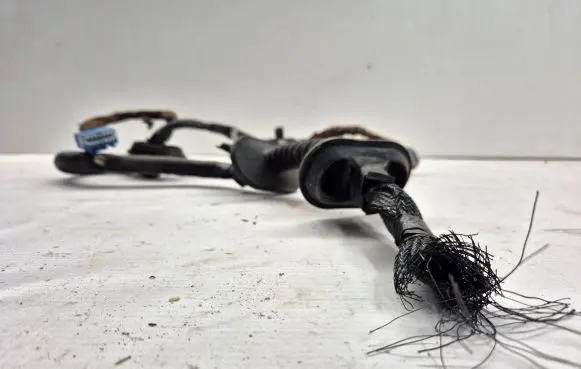 Jaguar S-Type Front door wiring loom
