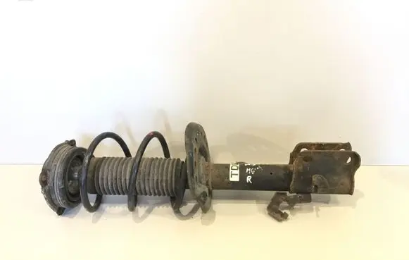Nissan Juke I F15 Front shock absorber with coil spring