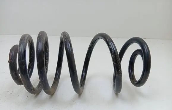 Rear coil spring