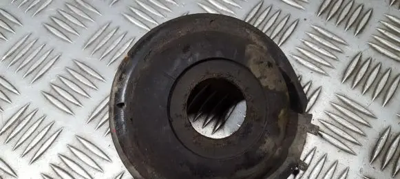 Coil spring mount