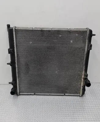 Peugeot 207 Coolant radiator 95007T01 670960000