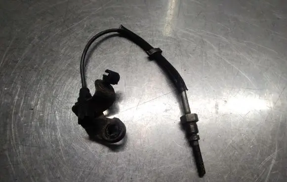Saab 9-5 Exhaust gas temperature sensor ESNBTS200