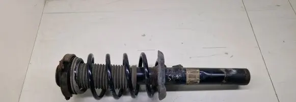 Volkswagen PASSAT B6 Front shock absorber/damper 3C0413031AA VW4617FY204 824904002054
