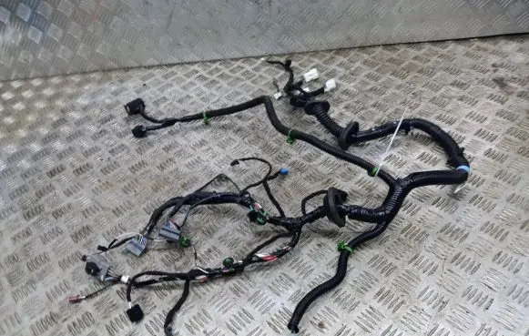 Tesla Model S Other wiring loom 1004419-00-H