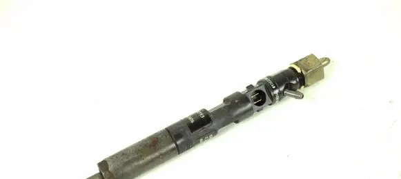 Renault Kangoo I Fuel injector EJBR01401Z