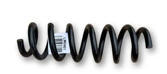 BMW Z4 g29 Rear coil spring 33536890597 6890597