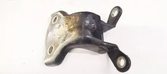 Chevrolet Captiva Rear door lower hinge 