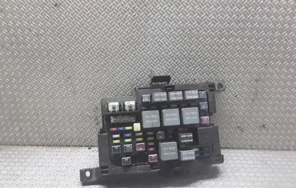 KIA Carens II Fuse module 91950