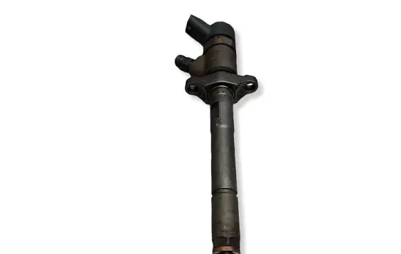 Citroen Berlingo Fuel injector S27649820 0445110239