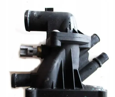 Thermostat/thermostat housing