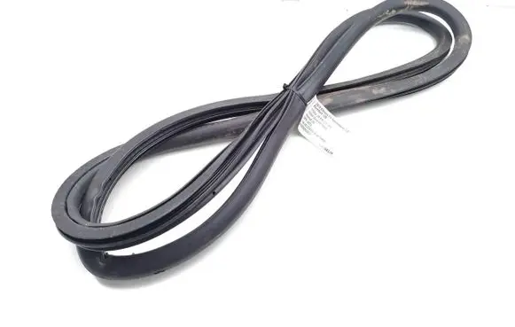 Citroen C4 SpaceTourer Front door rubber seal 