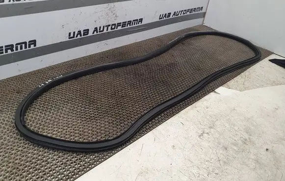 Citroen C4 II Picasso Front door rubber seal