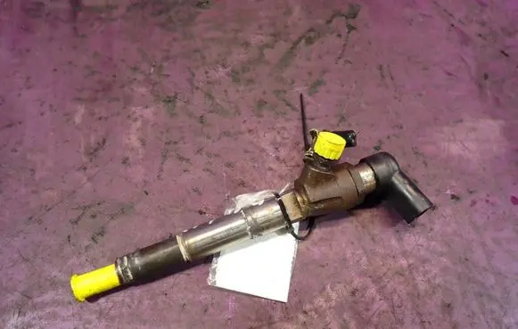 Renault Megane III Fuel injector 
