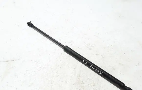 Tailgate strut