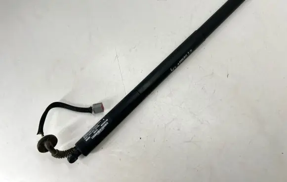 Tailgate/trunk strut/damper