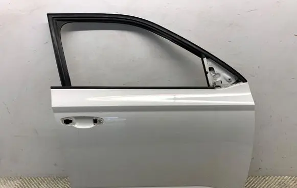 Skoda Fabia Mk3 (NJ) Front door LF9E