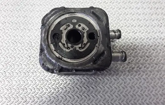 Volkswagen PASSAT B5 Oil filter mounting bracket