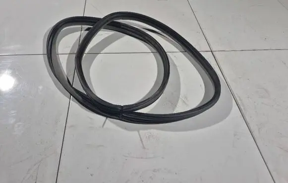 Renault Laguna II Rubber seal front coupe door 