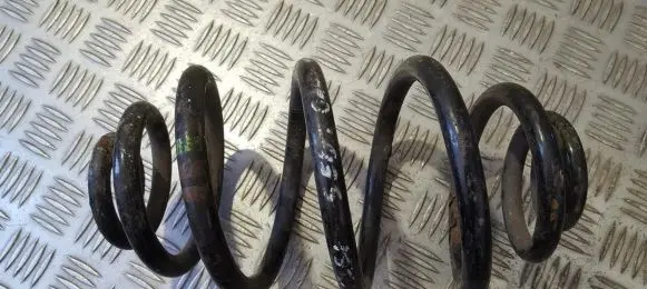 Volkswagen PASSAT B5.5 Rear coil spring