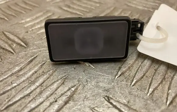Volvo XC90 Front door interior light 31699146
