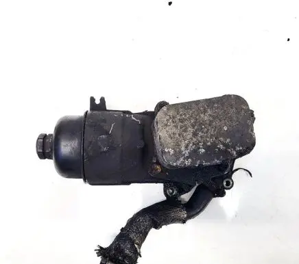 Ford Focus Oil filter cover 