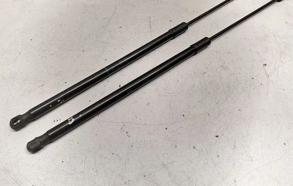 Tailgate/trunk strut/damper